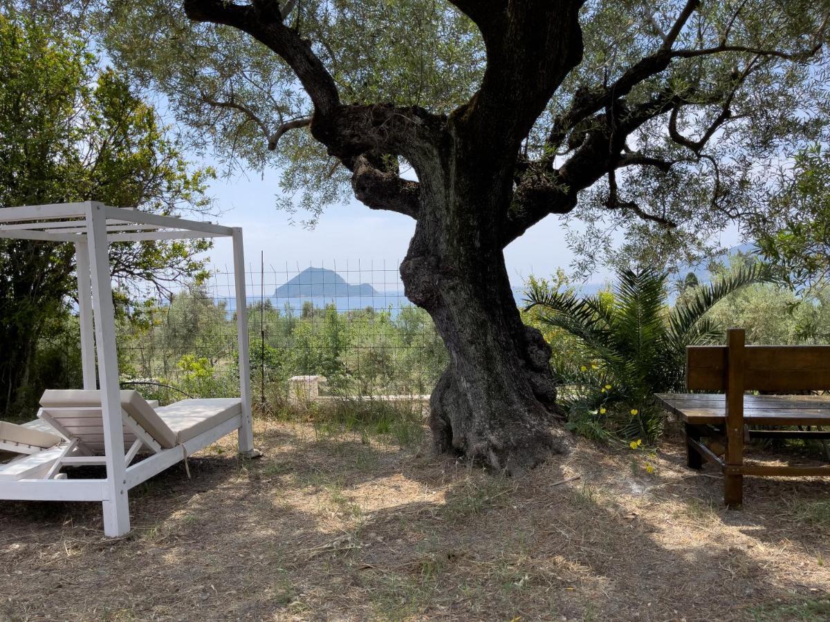 Villa Anta House By The Sea Lithakia  Extérieur photo