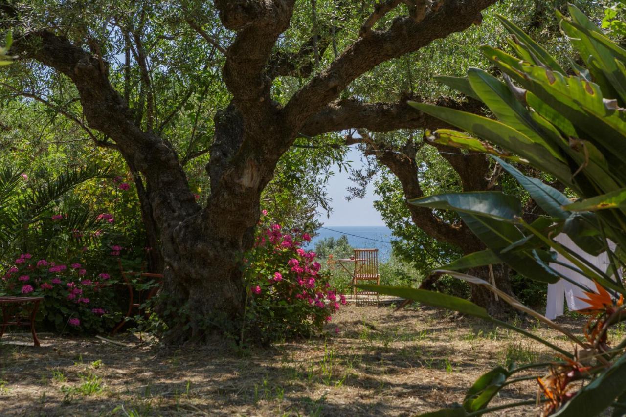 Villa Anta House By The Sea Lithakia  Extérieur photo
