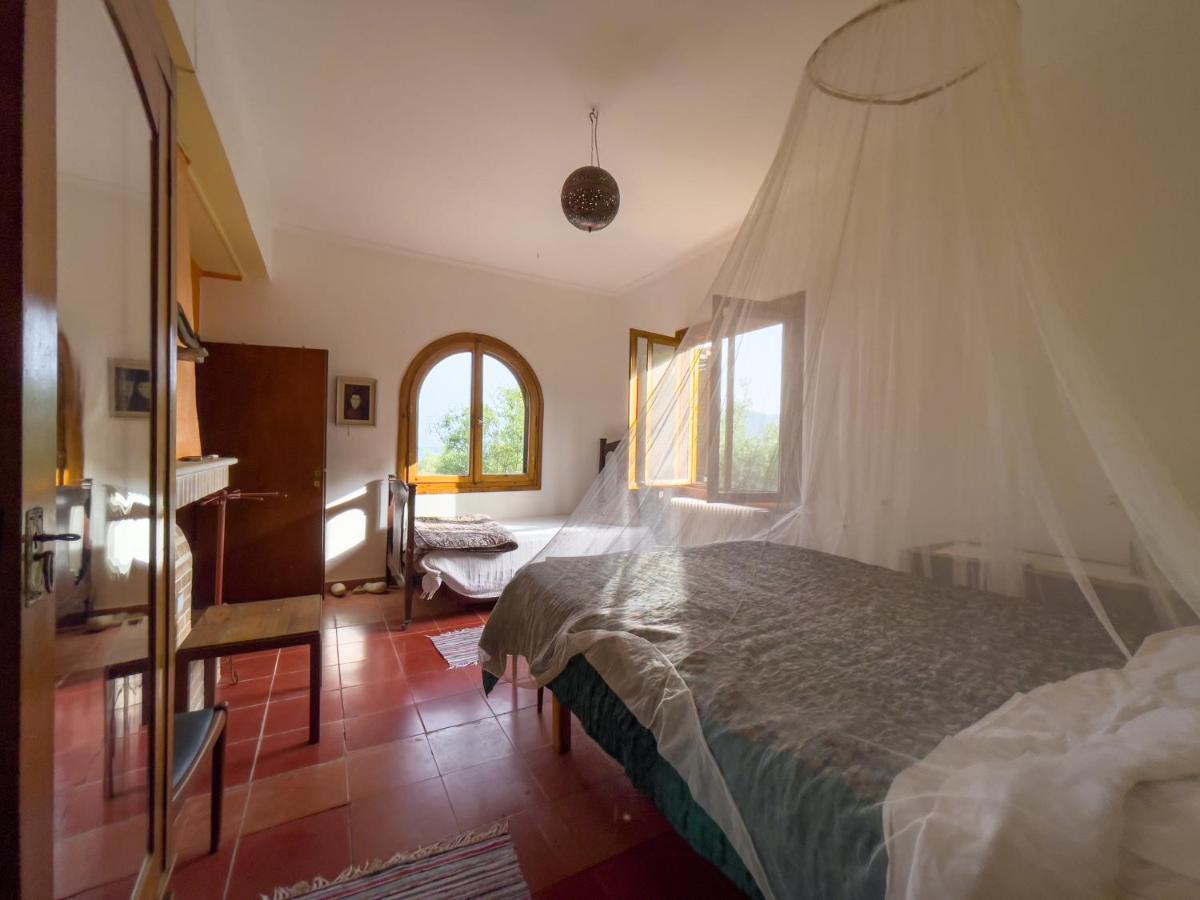 Villa Anta House By The Sea Lithakia  Extérieur photo